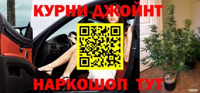 прущие крисы Гатчина