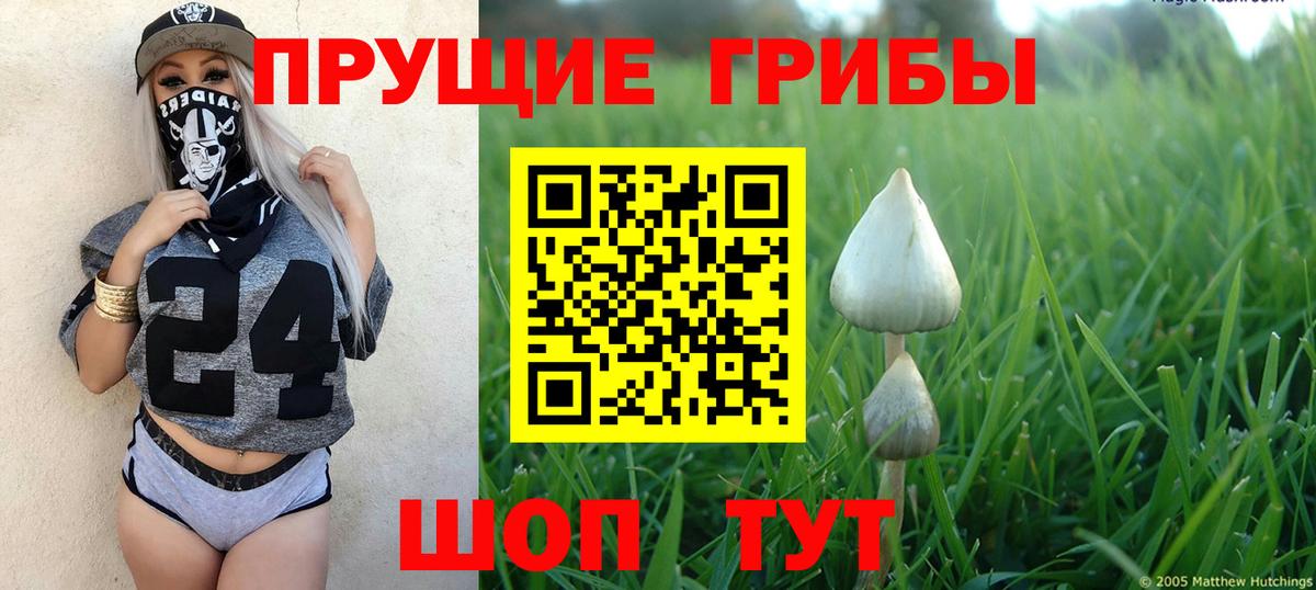 Псилоцибиновые грибы Cubensis  Вход с VPN  Лысьва 